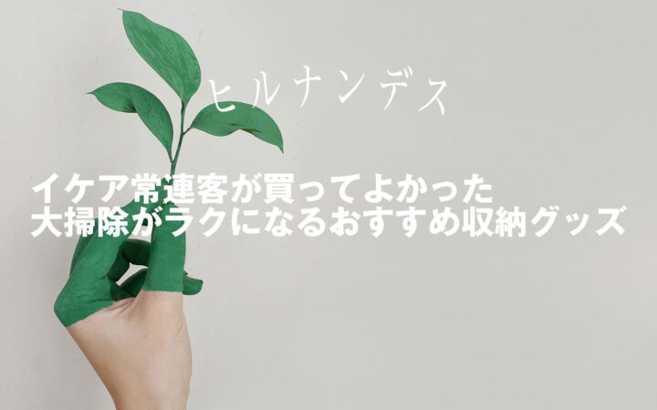 イケア常連客が買ってよかった大掃除がラクになるおすすめ収納グッズ